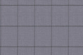 2199017/G1-22964 Light Gray Windowpane Vest Fabric