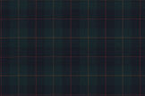 4880/G3-21758 Green Tartan Check Pants Fabric