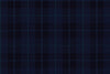 4881/G3-21759 Navy With Light Blue & Green Check Jacket Fabric