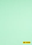 707070/P3-19987 Light Green Solid Suit Fabric