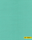 75600-37/P3-18117 Persian Green Plain Jacket Fabric
