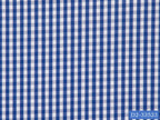 D2-33523 Blue And White Check Shirting Fabric