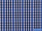 D2-33767 White And Blue Check Shirting Fabric