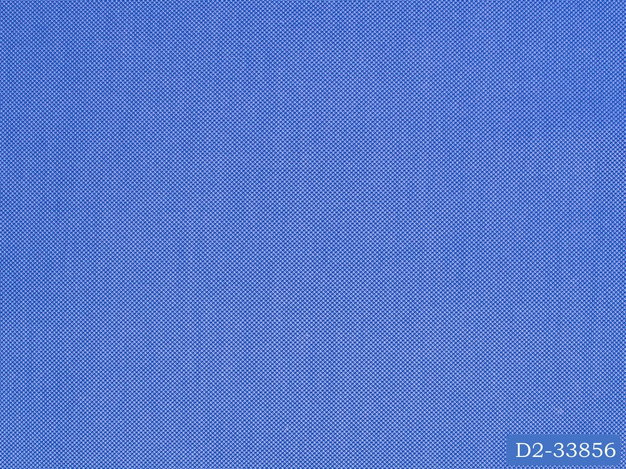 D2-33856 Conflower Blue Lacoste Shirting Fabric