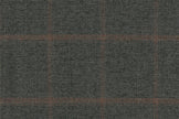 JT-2195018/G1-22983 Green With Brown Windowpane Suit Fabric